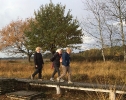 wandeltocht 2017