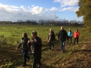 wandeltocht 2017